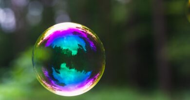 soap bubble, bubble, reflection, floating, colorful, forest, nature, closeup, soap bubble, bubble, bubble, bubble, bubble, bubble, floating