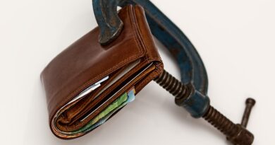 credit squeeze, taxation, purse, tax, economic stress, tight budget, consumerism, currency, inflation, financial difficulty, finance, cash, debt, bankruptcy, economy, crisis, savings, expenses, recession, money, wallet, tax, inflation, inflation, inflation, inflation, inflation, debt, debt, debt, recession, money, money, wallet